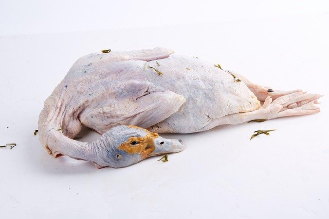 Breve glosario para entender la carne de pato