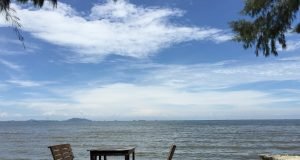 La dieta pescatariana: beneficios de los frutos del mar