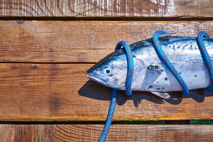 Receta tradicional asturiana: lleva el omega-3 a tu mesa