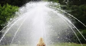 Mindfulness: cómo ver el lado bueno de las cosas