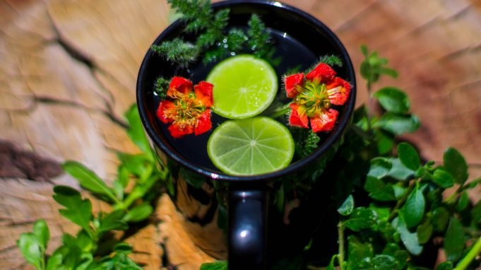 La importancia de los antioxidantes de las infusiones