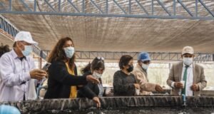 Comunidades indígenas y campesinas reviven gracias a la energía solar