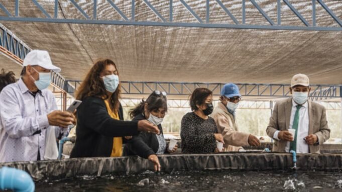 Comunidades indígenas y campesinas reviven gracias a la energía solar