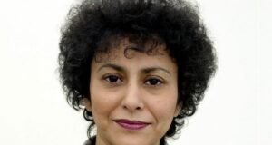 ONU denuncia aumento de la misoginia en la libertad de expresión