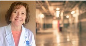 Qué es y hacia dónde se dirige la Terapia Ocupacional