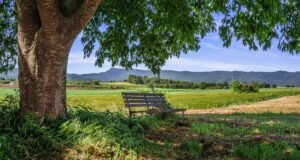 La ruralidad como atractivo turístico: VI Seminario Turismo Rural