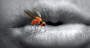 Zoonosis: las principales amenazas contra la salud mundial