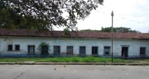 No dejemos morir a Celia