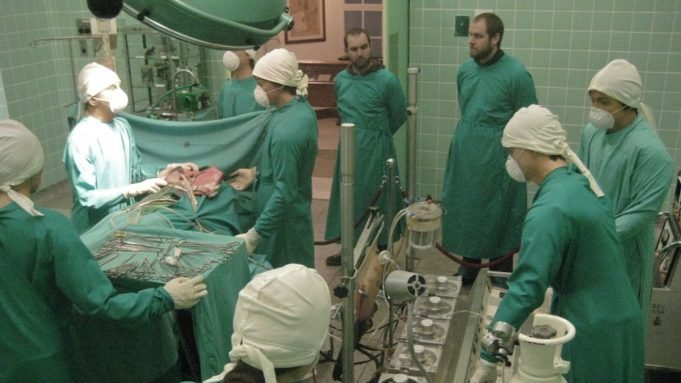 Reducir consumo de sal para salvar vidas pide la OMS