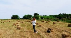 Crisis hídrica: Por qué Montevideo se queda sin el Santa Lucía