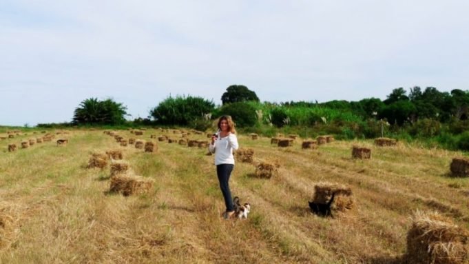 Crisis hídrica: Por qué Montevideo se queda sin el Santa Lucía