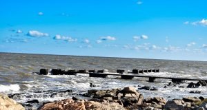 Cómo desalinizar en casa el agua del Río de la Plata