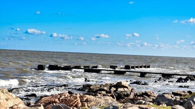 Cómo desalinizar en casa el agua del Río de la Plata