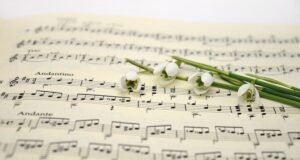 Musicoterapia: Exploración de los efectos psicológicos de la música