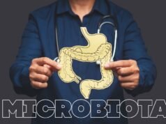 Algo nuevo, algo viejo, algo prestado… así te casas con la microbiota