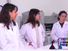 De la lactancia a los ecosistemas polares: microplásticos y crisis ecológica