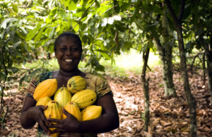 Cacao y microbiota: ¿Es cierto que Dios le dio alas a los ángeles y chocolate a los humanos”?