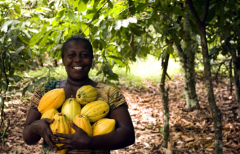 Cacao y microbiota: ¿Es cierto que Dios le dio alas a los ángeles y chocolate a los humanos”?